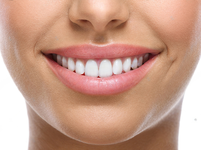 lifetime-super-sealants